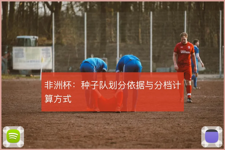 非洲杯：种子队划分依据与分档计算方式